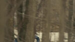 Смотреть на Лордфильм 2.0 Сериал Энн 2017