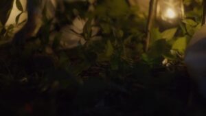 Смотреть на Лордфильм 2.0 Сериал Энн 2017